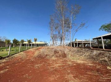 4a020311ed5becd1fac0b5c0c1ed9b5f11d72881 · Rancho com 1 dormitório à venda, 1 m² por R$ 1.050.000,00 - Zona Rural - Uberlândia/MG
