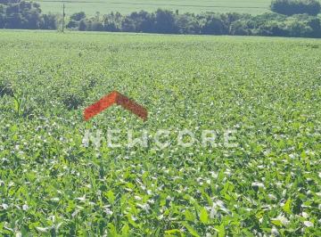 Rural · 169100m² · 1 Quarto · Sítio em Floresta - Área Rural - Floresta/PR