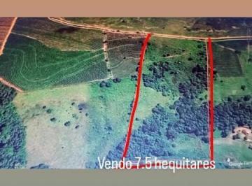 2b9794e0d405ffbbfe62427dd163d571.jpeg · Fazenda / Sítios / Chácaras à venda em Nepomuceno, no bairro Centro