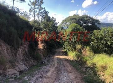 384ba69cd8dcda0619c3cebfeaa0f377.jpg · Terreno