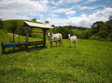 Rural de 3 quartos, Juquiá · FAZENDA 48 ALQ / 40 ALQ PASTOS R$. 6.000.00 MILHÕES DE REAIS É PORTEIRA FECHADA