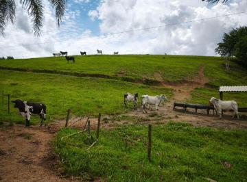 Rural de 3 quartos, Juquiá · FAZENDA 48 ALQ / 40 ALQ PASTOS R$. 6.000.00 MILHÕES DE REAIS É PORTEIRA FECHADA