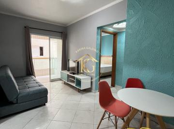 Apartamento · 43m² · 1 Quarto · 1 Vaga · Apartamento A venda 1 Quarto sacada gourmet Semimobiliado Praia Grande-SP