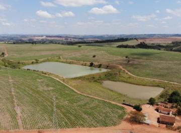 Foto 01 · Fazenda 126.7 alqueires na região de tatui valor 310 mil o alqueires,boa de água terra vermelha.