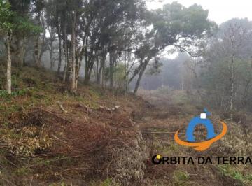 Foto 01 · Terreno à venda em Tijucas do Sul-PR, bairro Matulão, com 50.000m² de área! A oportunidade que você 