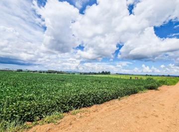 Rural · 60500m² · 1 Quarto · VENDA | Chácara, com 1 dormitórios em Recanto Dos Pinheiros, Cambé