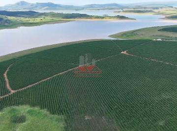 Visão das ruas de café em fazenda de alta performance, destacando o manejo profissional da cultura. · Fazenda de Café na Represa de Furnas - 50 Alqueires em MG