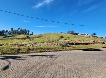 38366325_g.jpg · 
                                Terreno
                            