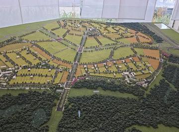 43732121_g.jpg · 
                                Terreno à Venda no Terras Alpha – Parque 2 | Bairro Parque Alphavil