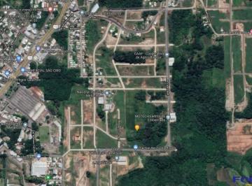 20130919_g.jpg · 
                                Terreno no Vale dos Pinhais
                            