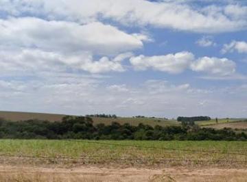 554b9586b465932a845d7cb01ae227046c617ea8 · Área à venda Prox. ao Cacau Park, 200000 m² por R$ 40.000.000 - Cajuru do Sul - Sorocaba/SP