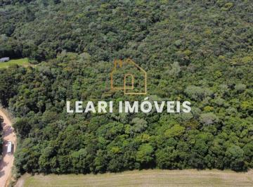 Rural · 22700m² · Chácara à venda no bairro Área Rural de São José dos Pinhais - São José dos Pinhais/PR