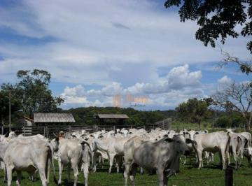 9f1d934599066a9c8e690c482eaf359dc09a61b4 · FAZENDA À VENDA – OPORTUNIDADE DE INVESTIMENTO PRODUTIVO