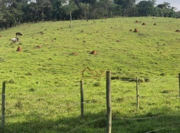 b3d85a891f44d17e3a817e1fdef56087de6a4afe · Sítio com 2 dormitórios à venda, 181500 m² por R$ 935.000 - Zona Rural - São Luiz do Paraitinga/SP