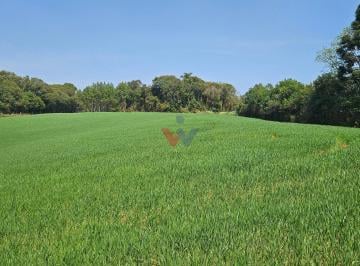 Rural · 20000m² · 1 Quarto · Chácara em Capela Velha, Araucária/PR de 20000m² 1 quartos à venda por R$ 499.000,00