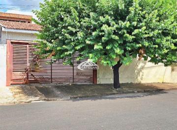 Casa · CASA  BADY BASSITT - SP