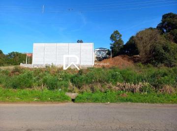 terreno-grande-no-bairro-centenario-22206954294aa3740b3e65b67f3afdb31d6.jpeg · Terreno  grande no bairro Centenário