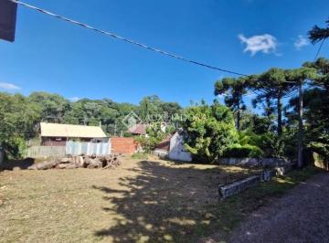 Terreno · 500m² · Terreno em Nova Petrópolis - Centro