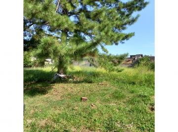 Terreno · 250m² · Terreno com 250m² no bairro Aguas Mortas Gravataí