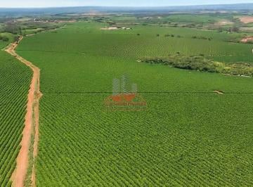 Panorama exclusivo: 234 hectares de alta produtividade no coração de Piumhi, MG. · Fazenda de Café em Piumhi: 1 Milhão de Pés e 234 Hectares
