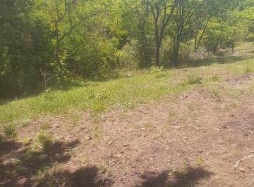 Foto 01 · Terreno, Condomínio Particular, São Jose da Bela Vista, SP