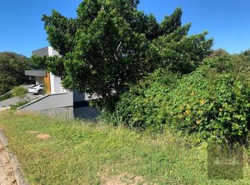 7117c1f66ea69a41a6fa3fea09715090529fe2d3 · Terreno à venda, 508 m² por R$ 650.000 - Ingleses Norte - Florianópolis/SC