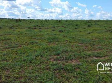 Imagem 1 · Fazenda