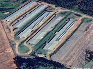 Imagem 1 · Fazenda