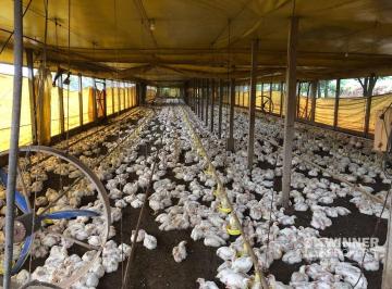 Imagem 1 · Fazenda