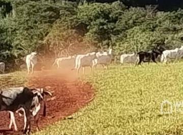 Imagem 1 · Fazenda