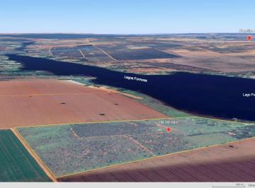 Rural · 110000m² · Lagoa Formosa, Investimento.