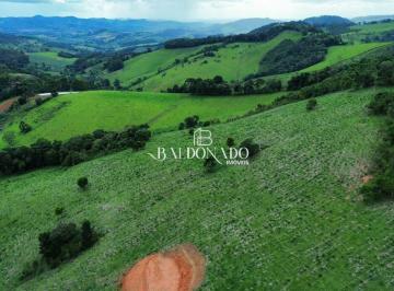 Terreno · 20000m² · TERRENO A VENDA EM TOLEDO MG 20.000 METROS R  190MIL OPORTUNIDADE OTIMO ACESSO