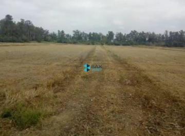 Rural · 36m² · Fazenda à venda no bairro Centro - Pindamonhangaba/SP