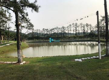 Rural · 661m² · Fazenda Histórica do Rei Pelé é à Venda