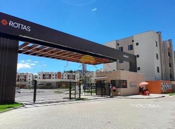 24961853_4.jpg · Apartamento Novo Alugar 2 Quartos Paranaguamirim