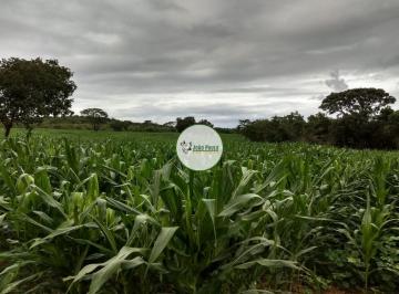 Rural , Arinos · Fazenda a venda em ARINOS-MG - 90 Hectares - OPORTUNIDADE