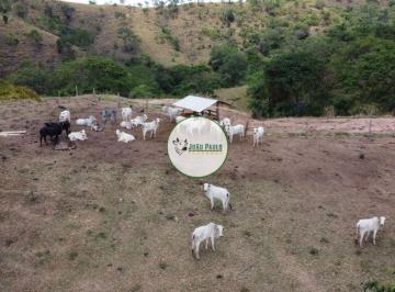 Rural , Planaltina · Fazenda a venda em Planaltina-GO - 410 Hectares - para PECUÁRIA