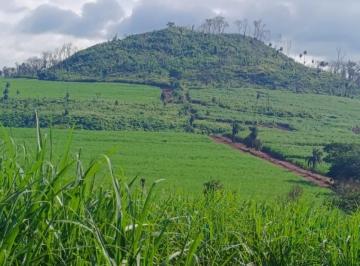 Foto 01 · Fazenda à venda em Cajuru/SP
