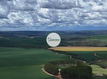 Rural , Água Fria de Goiás · Fazenda a venda em Água Fria de Goiás - 440 Hectares - 340 hectares em lavoura a mais de 30 anos.