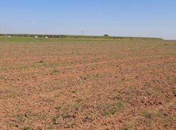 Rural , Santa Bárbara D'Oeste · AREA INDUSTRIAL