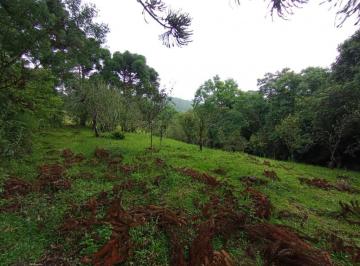 952615.jpg · Sitio - Bairro Linha Marcondes