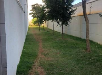 IMG_20260627_091507_000.jpeg · Versátil apartamento para venda em Água Branca com 2 quartos, sendo 1 suíte, 65m² - remaxfront#FE911