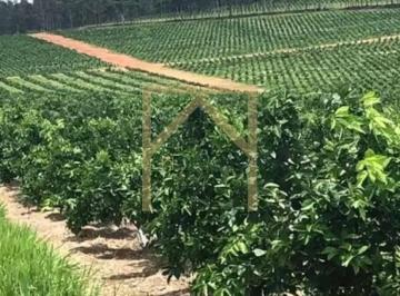 Imagem 1 · Fazenda para venda em Área Rural de Avaré, Avaré