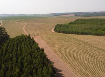 Imagem 1 · Fazenda