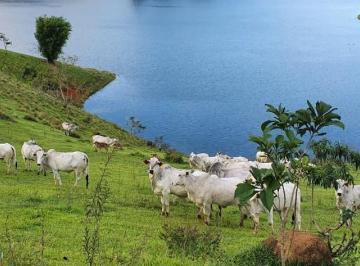 Imagem 1 · Fazenda