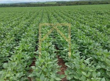 Imagem 1 · Fazenda