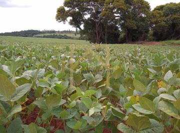 Imagem 1 · Fazenda
