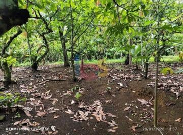 Rural · 20000m² · VENDO SITIO LOCALIZADO NA RODOVIA ILHÉUS-URUÇUCA