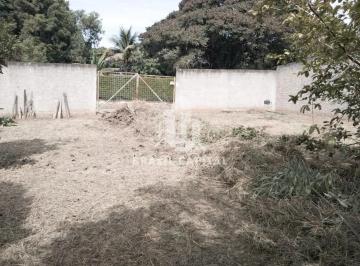 sv6gx8naysgw1770154794426.jpg · Oportunidade para montar sua chácara