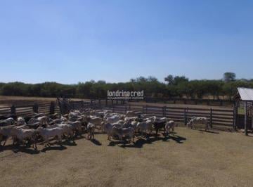 5zl4zc2ytiwm2uzyzyyntzm_md · Fazenda à Venda em Pr, Foz do Iguaçu - PR